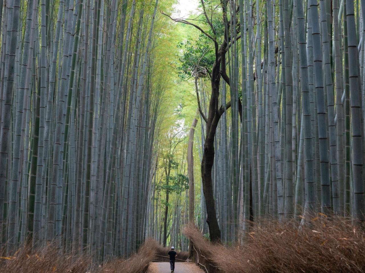 Stay Marutamachi 京都市 エクステリア 写真