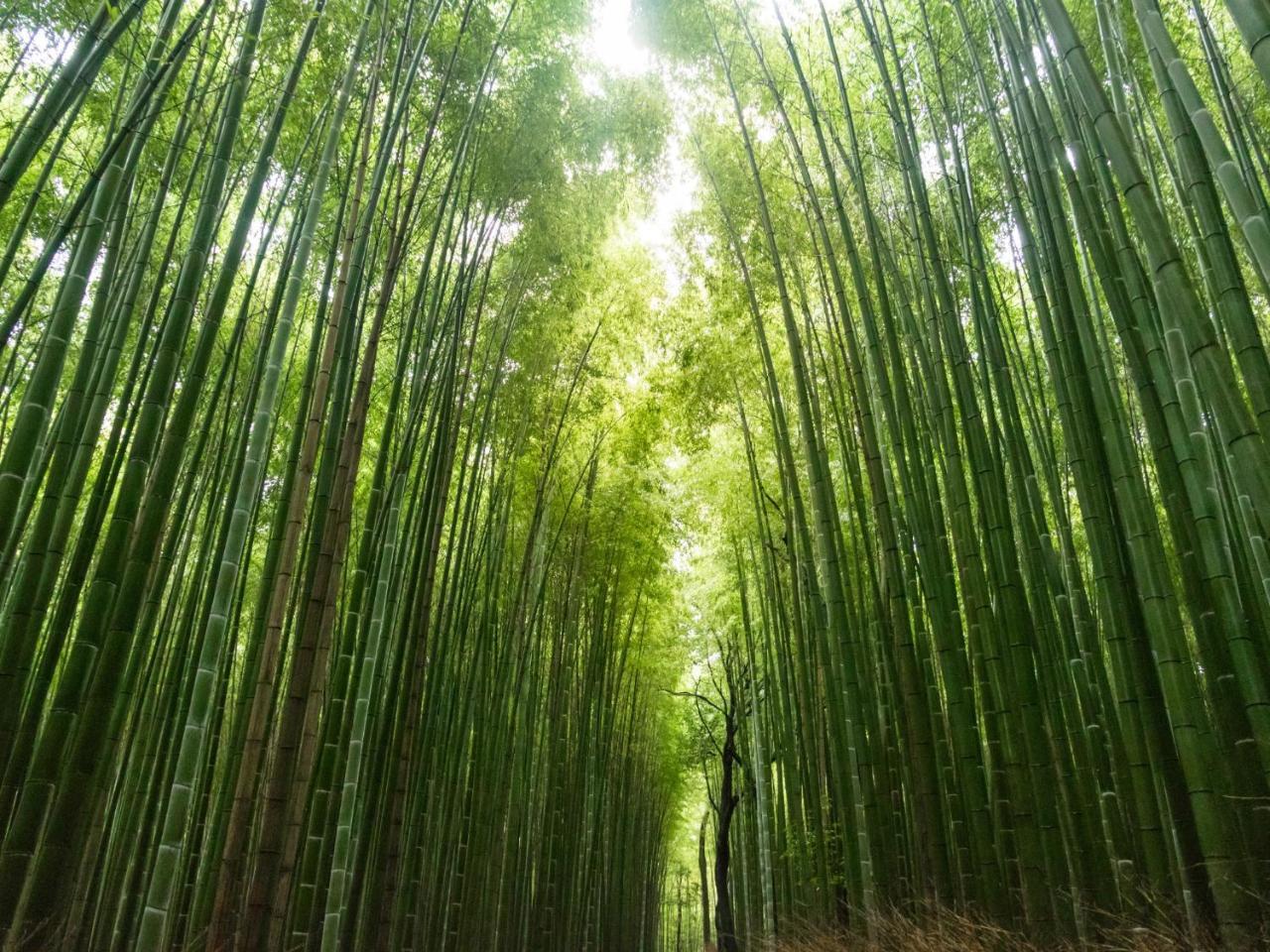 Stay Marutamachi 京都市 エクステリア 写真