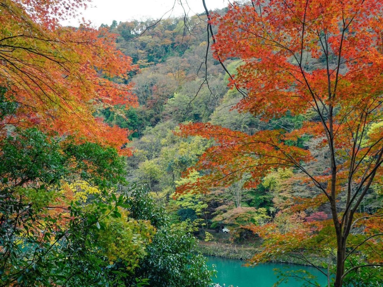 Stay Marutamachi 京都市 エクステリア 写真